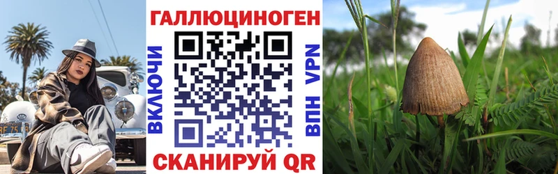 Псилоцибиновые грибы Psilocybe Абаза